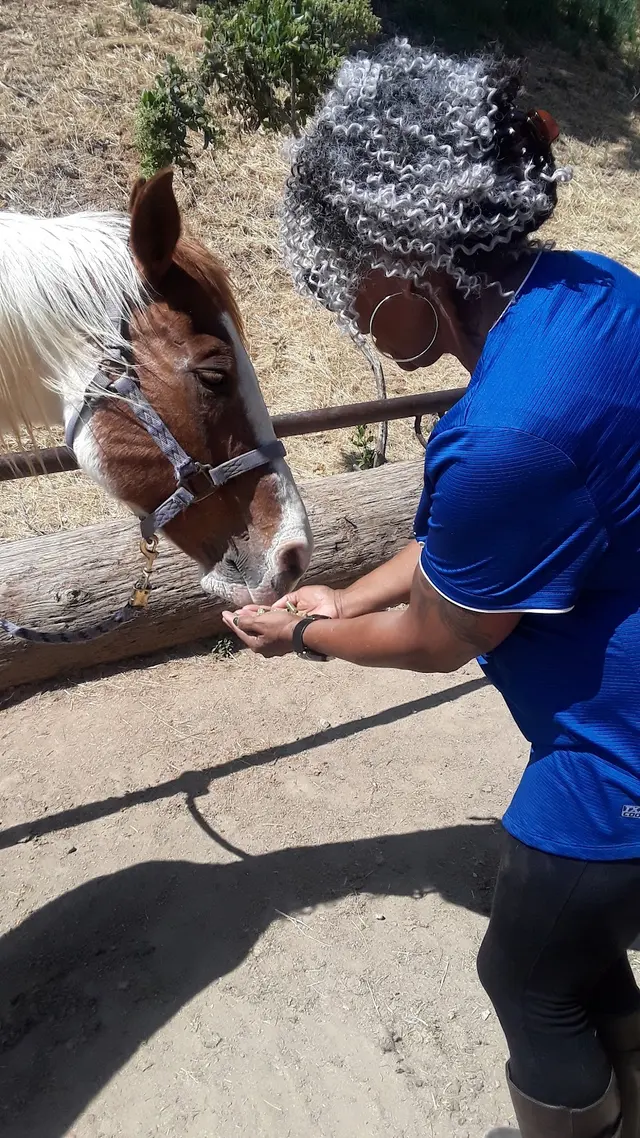 Marshall Canyon Equestrian Center — customer photo 9