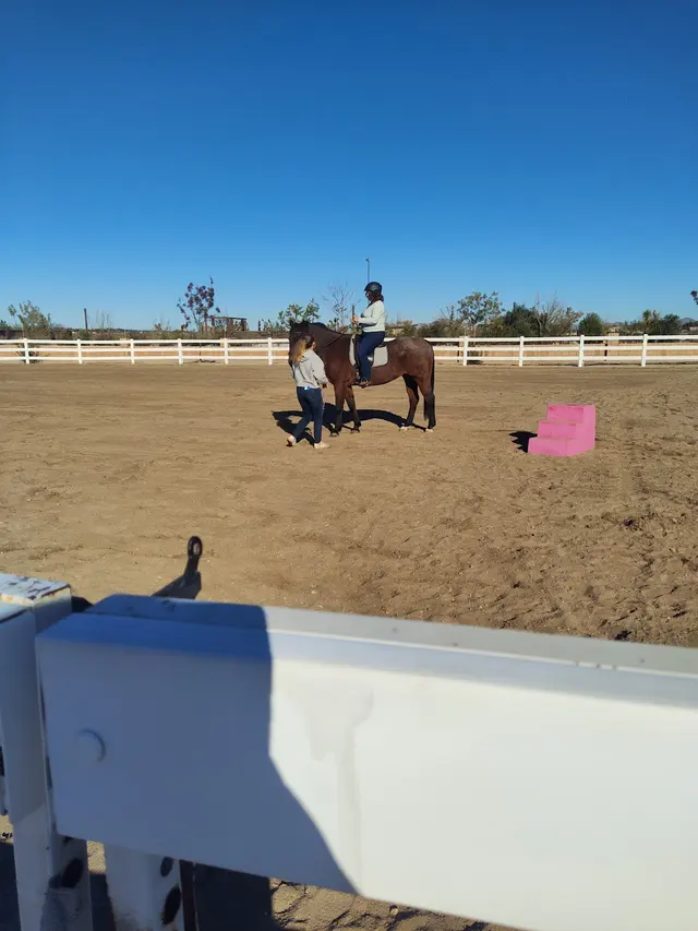 Skye's the Limit Equestrian — customer photo 1