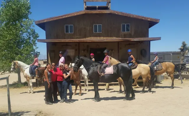 Skye's the Limit Equestrian — customer photo 5