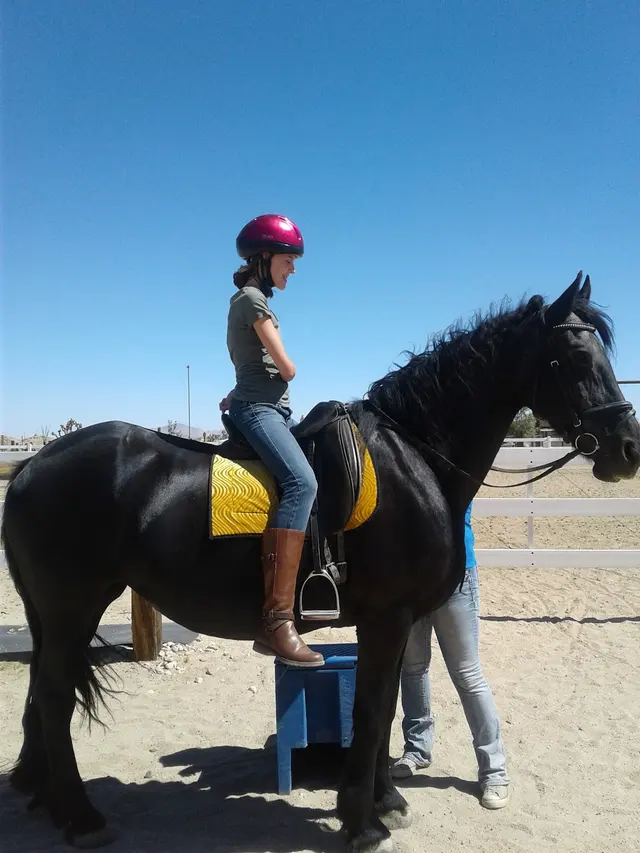 Skye's the Limit Equestrian — customer photo 7