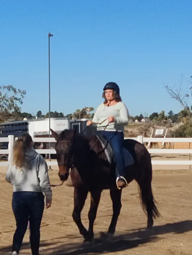Customer photo of work by Skye's the Limit Equestrian, from Sandra Sands's review