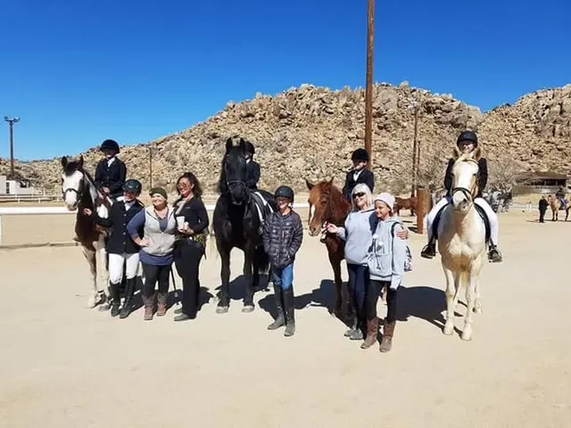 Skye's the Limit Equestrian — customer photo 4
