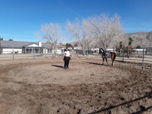 Skye's the Limit Equestrian — customer photo 6