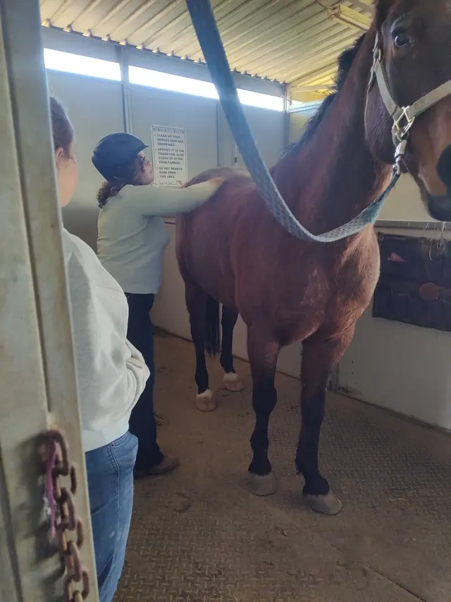 Customer photo of work by Skye's the Limit Equestrian, from Sandra Sands's review
