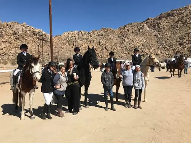 Skye's the Limit Equestrian — customer photo 11