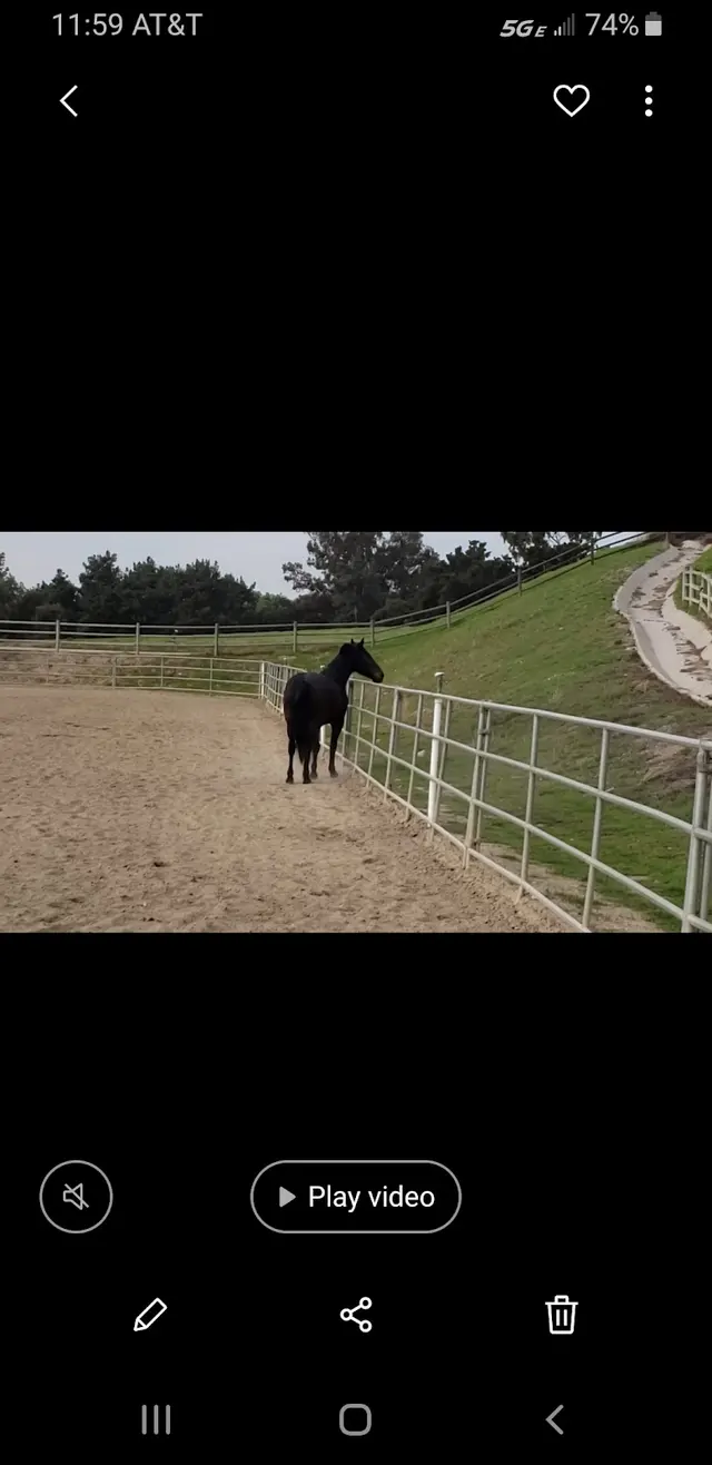 Customer photo of work by Sycamore Canyon Equestrian Center, from Ce Parker's review