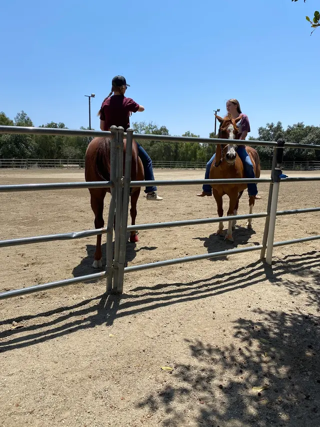 Sycamore Canyon Equestrian Center — customer photo 4