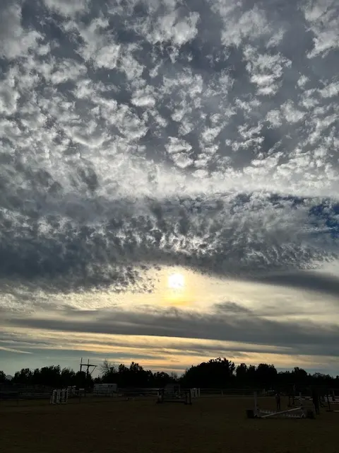 Sycamore Canyon Equestrian Center — photo from the business 2