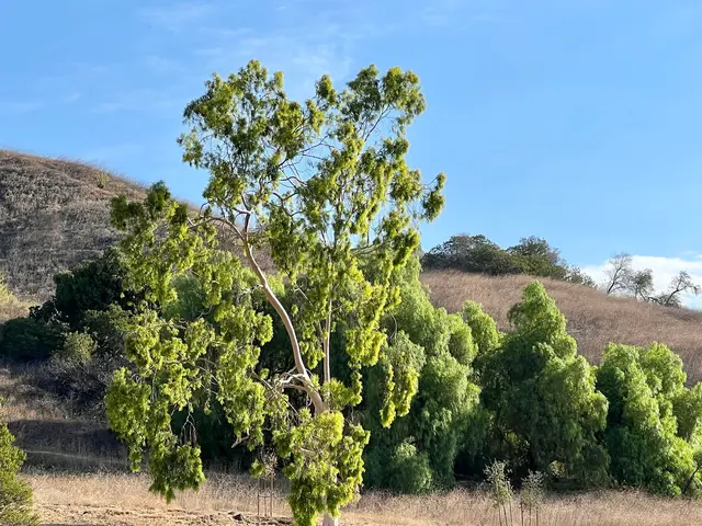 Sycamore Canyon Equestrian Center — customer photo 9