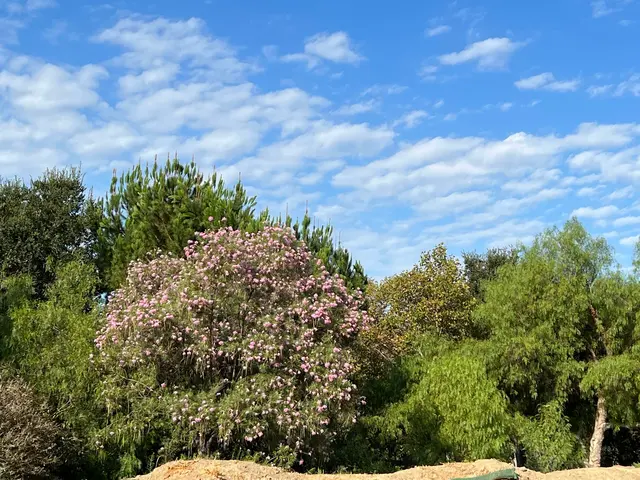 Sycamore Canyon Equestrian Center — customer photo 10
