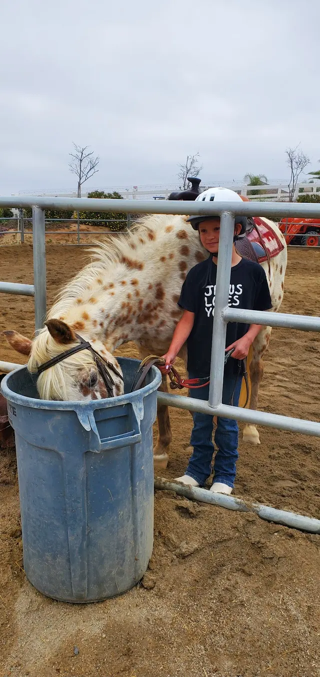 Riding Lessons with Debra Hardman — customer photo 9