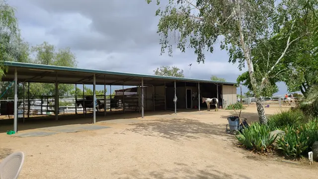 Riding Lessons with Debra Hardman — customer photo 10
