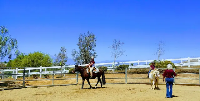 Riding Lessons with Debra Hardman — customer photo 1
