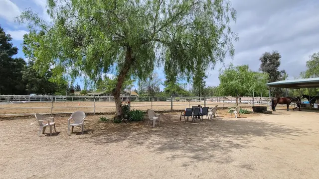 Riding Lessons with Debra Hardman — customer photo 11