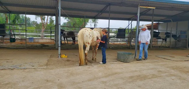 Riding Lessons with Debra Hardman — customer photo 3