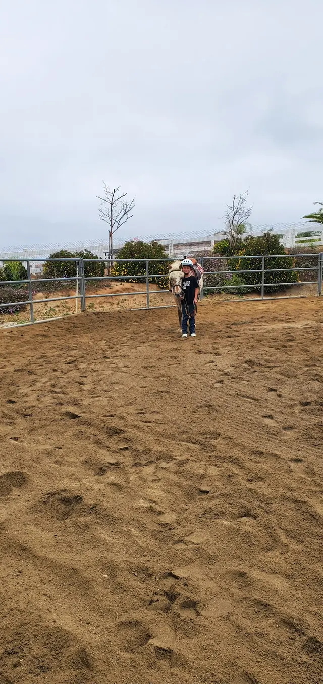 Riding Lessons with Debra Hardman — customer photo 12