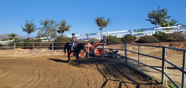 Riding Lessons with Debra Hardman — customer photo 4