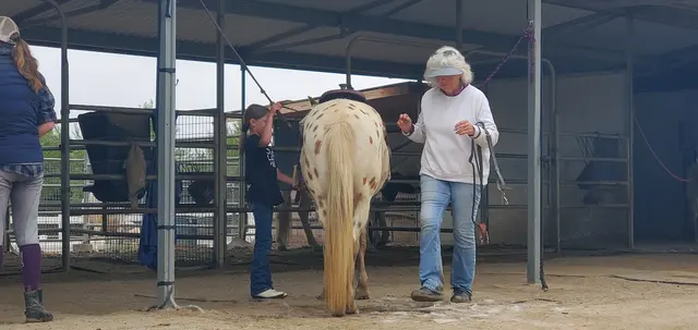 Riding Lessons with Debra Hardman — customer photo 8