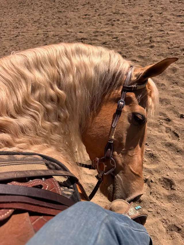Hidden Canyon Riders — photo from the business 4