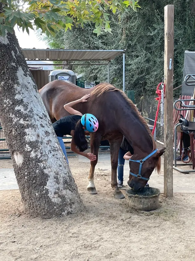 El Rodeo Equestrian Center — customer photo 8