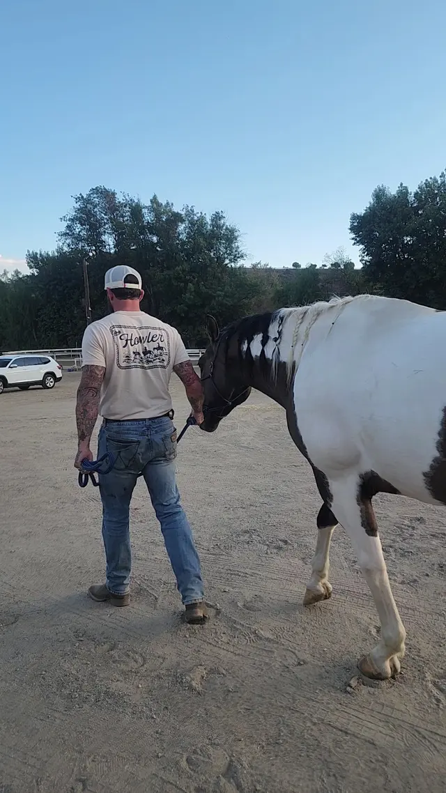 Customer photo of work by El Rodeo Equestrian Center, from Ian Crichton's review