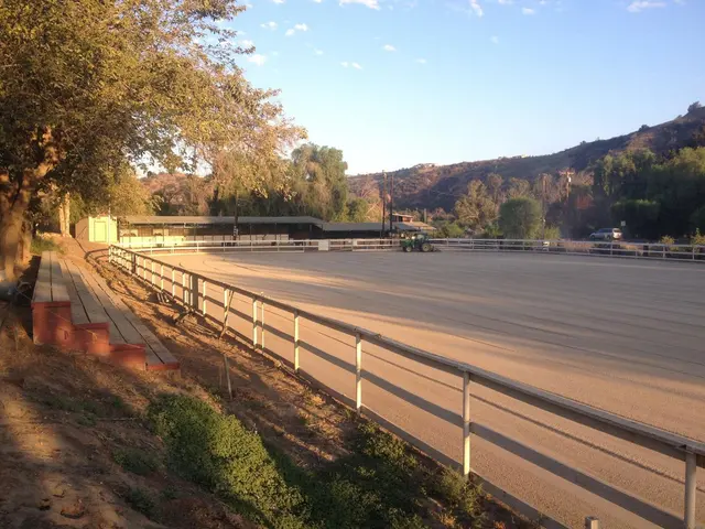 El Rodeo Equestrian Center — photo from the business 1