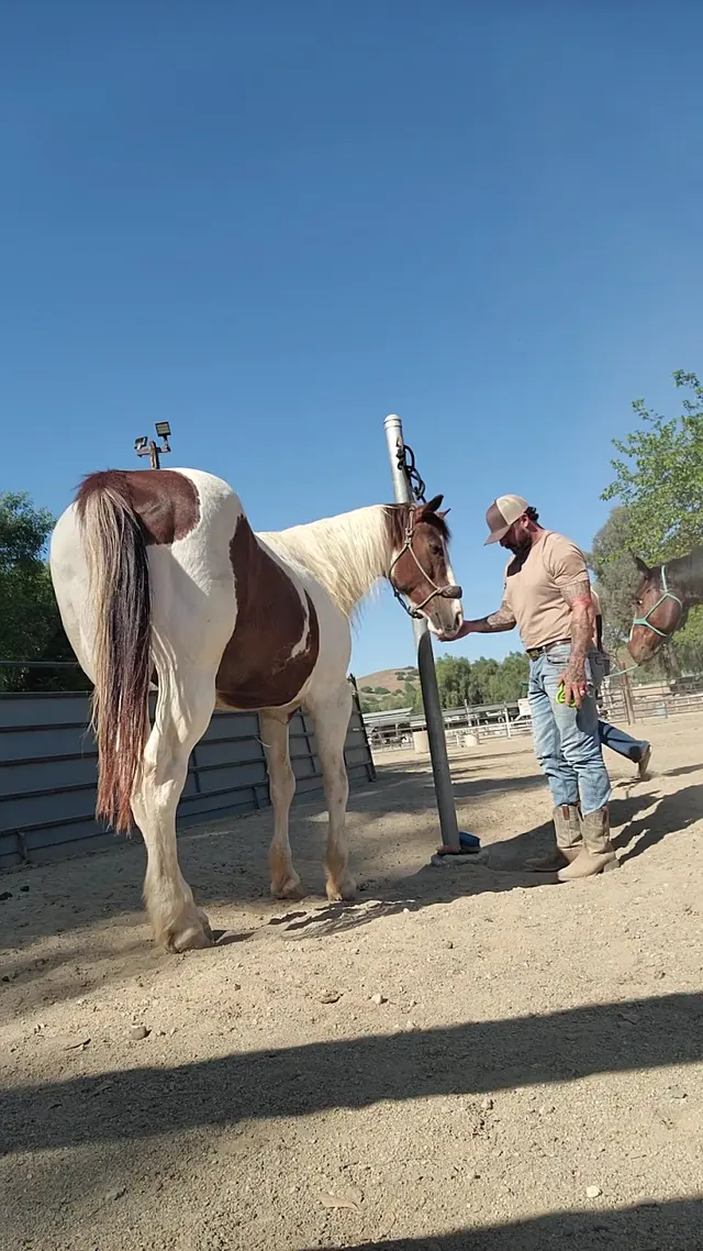 Customer photo of work by El Rodeo Equestrian Center, from Ian Crichton's review