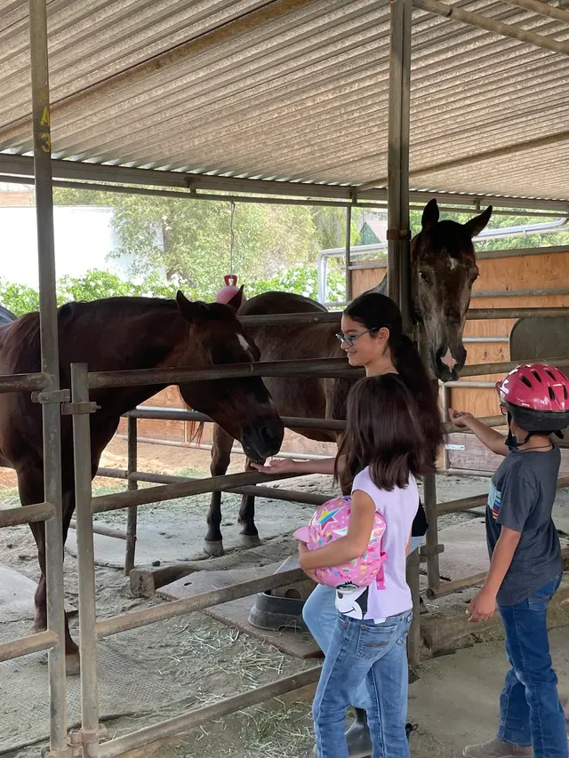 El Rodeo Equestrian Center — customer photo 3