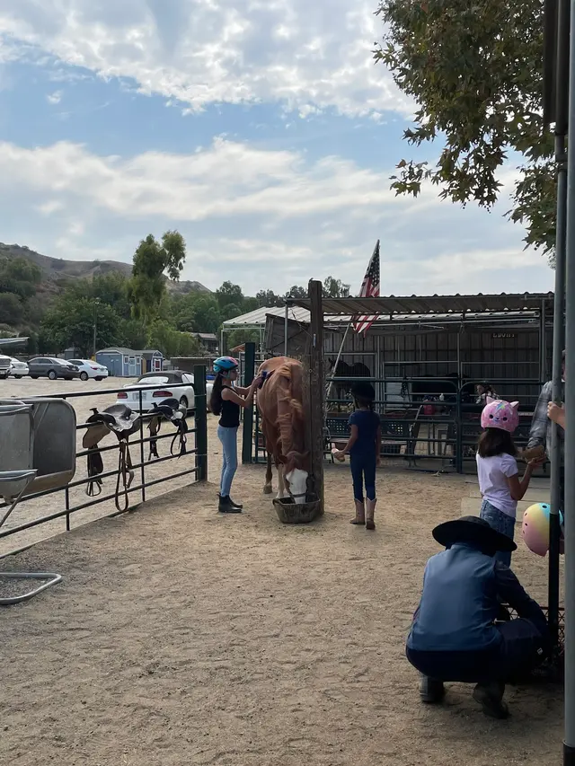 El Rodeo Equestrian Center — customer photo 5