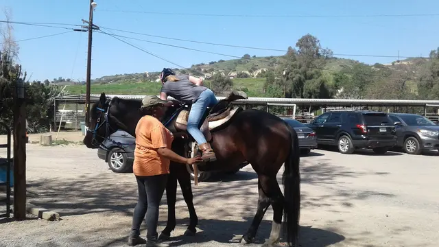 El Rodeo Equestrian Center — customer photo 9