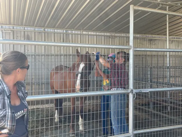 El Rodeo Equestrian Center — customer photo 10