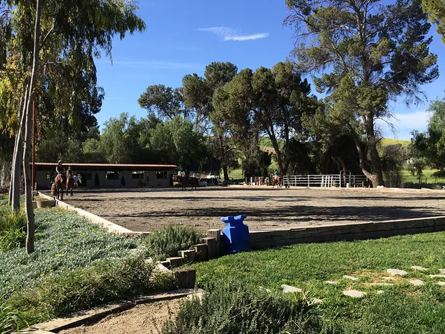 Rancho de Felicidad — photo from the business 7