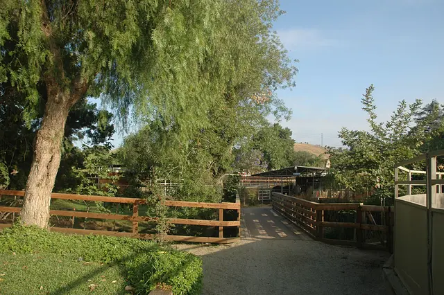 Rancho de Felicidad — photo from the business 8