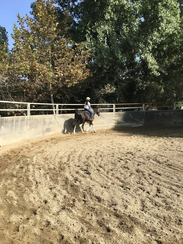 Rancho de Felicidad — customer photo 3