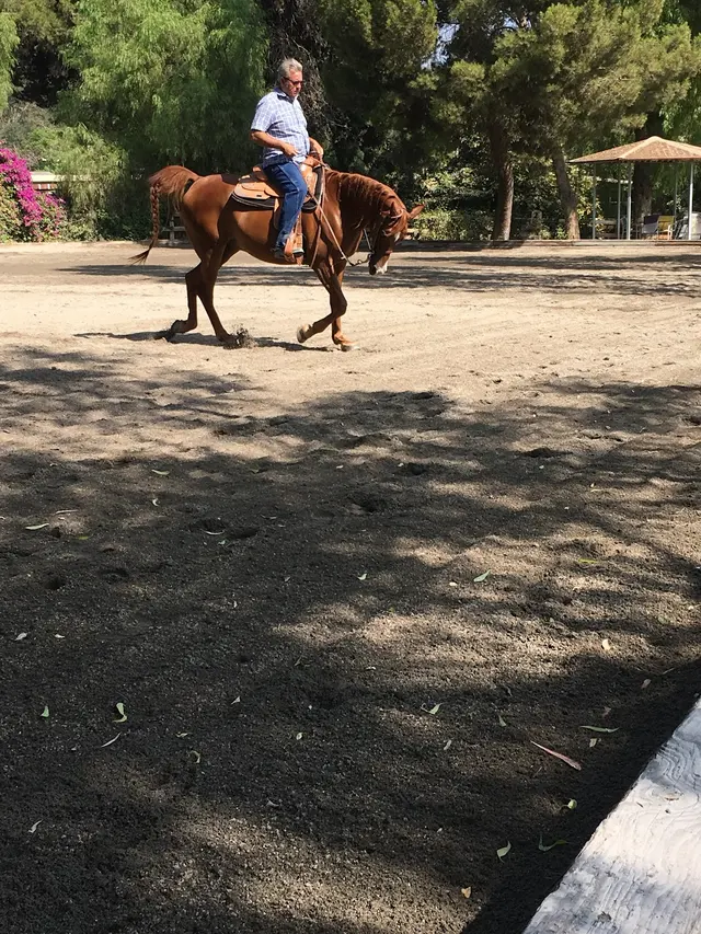 Rancho de Felicidad — customer photo 6