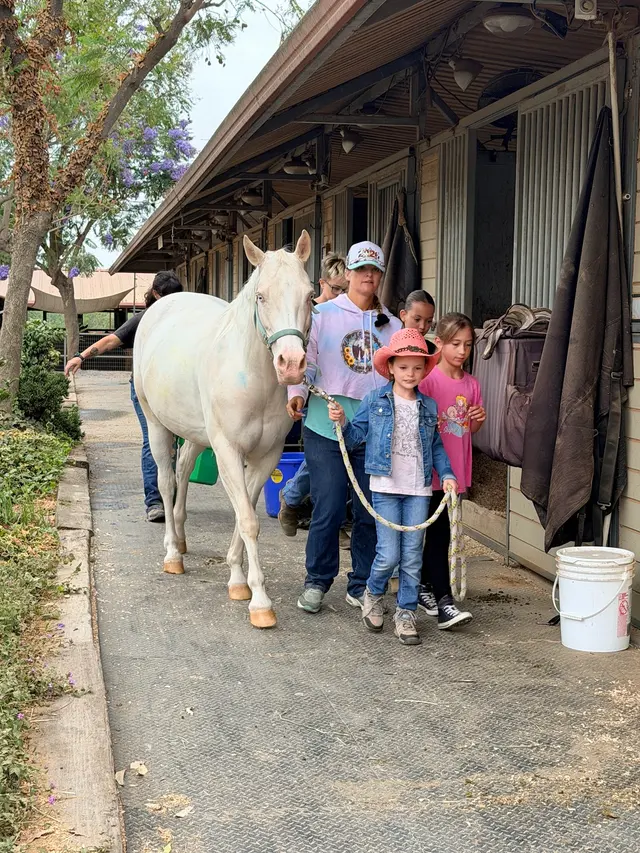 Customer photo of work by Rancho de Felicidad, from Linsey Fornaca's review