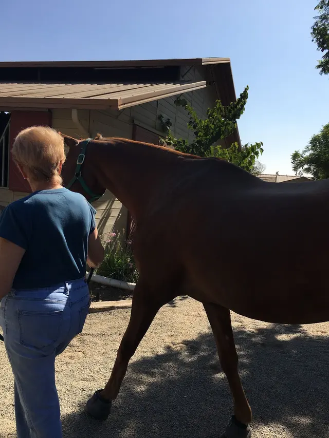 Rancho de Felicidad — customer photo 5