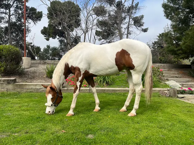 Rancho de Felicidad — photo from the business 1