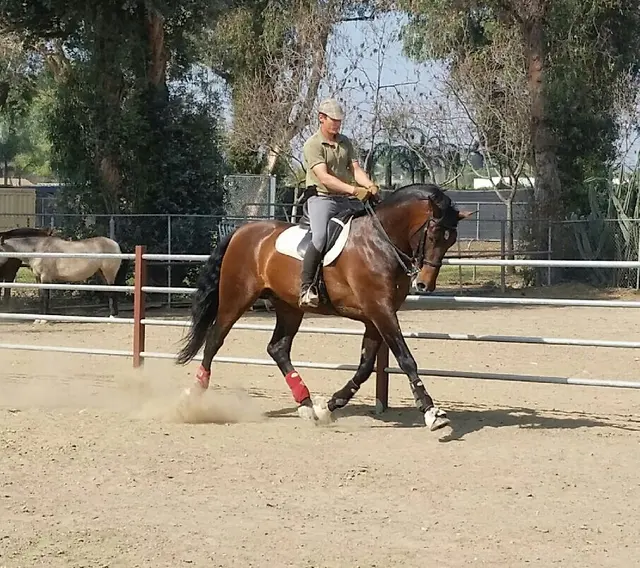 Placeres del Oro Ranch — customer photo 1