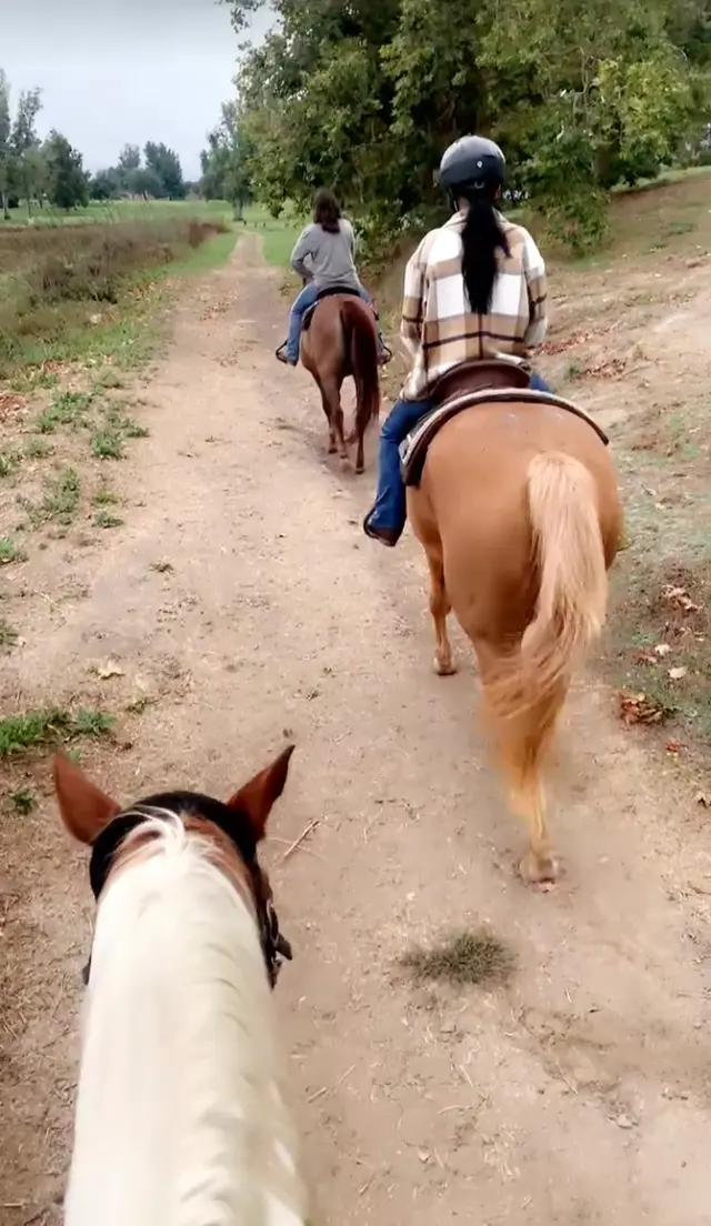 Prado Park Equestrian Center — customer photo 1
