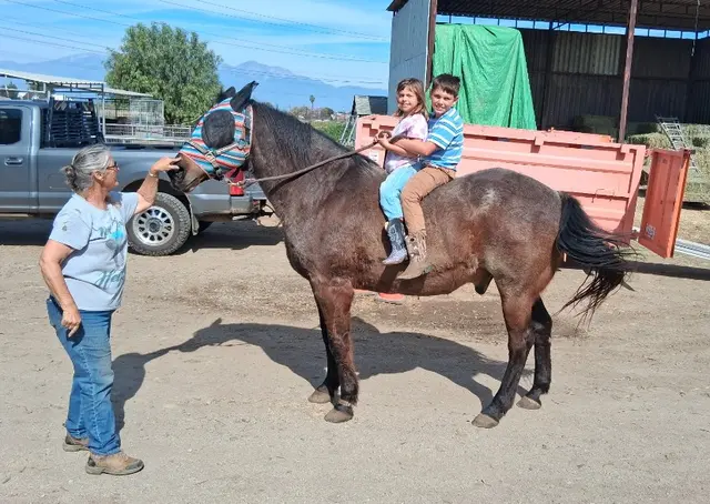 Prado Park Equestrian Center — customer photo 8