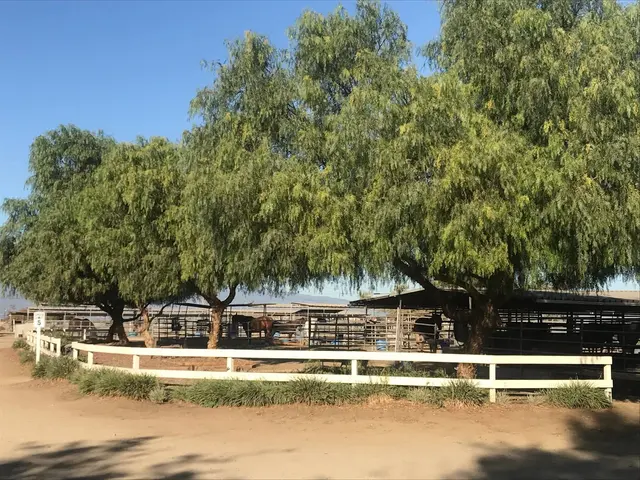 Prado Park Equestrian Center — photo from the business 9