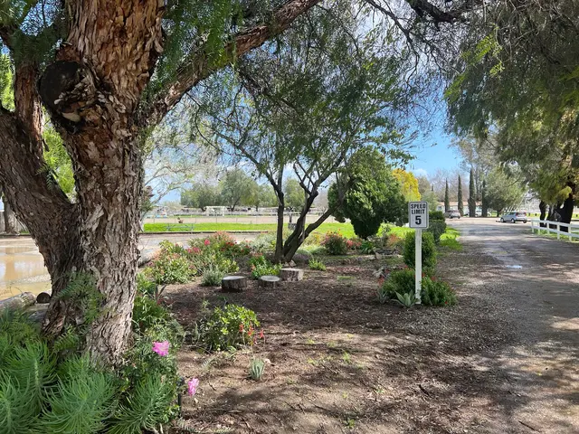 Prado Park Equestrian Center — photo from the business 5