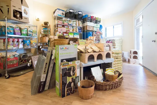 House Rabbit Society — photo from the business 9