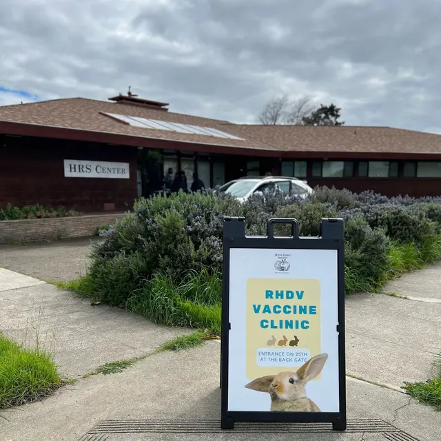 House Rabbit Society — photo from the business 3