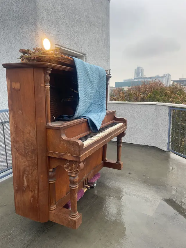 Ecoterra Professional Junk Removal — customer photo 8