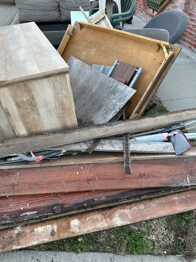 Ecoterra Professional Junk Removal — photo from the business 12