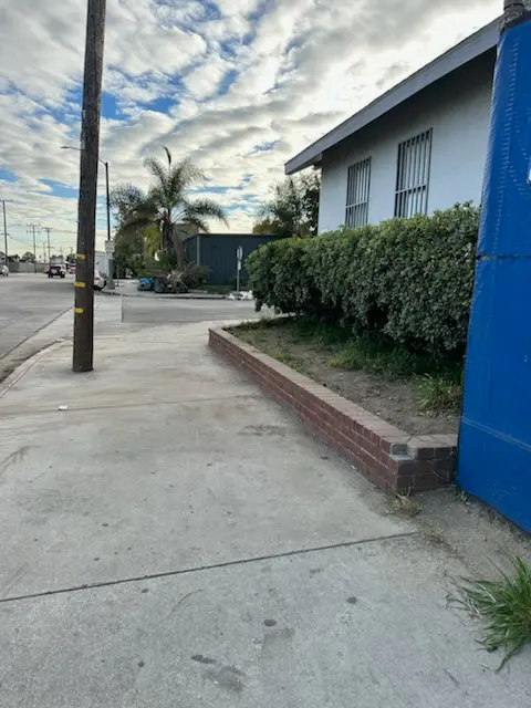 Gorilla Junk Services — customer photo 1