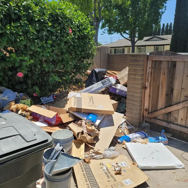 Gorilla Junk Services — photo from the business 7