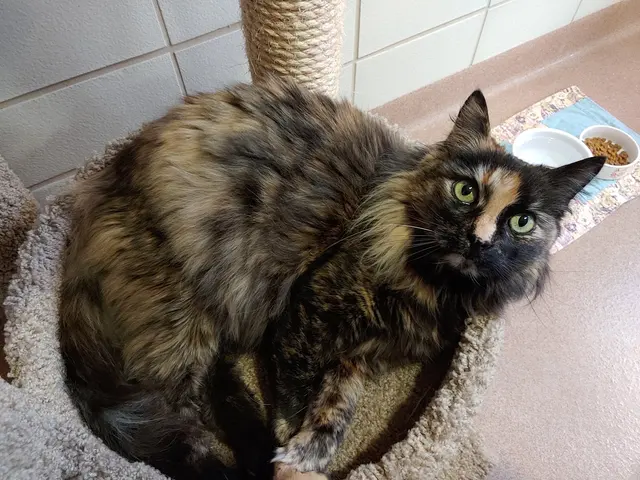 Marin Humane — customer photo 6